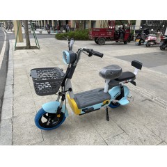 国标电动车成人新款两轮电动自行车48V铅酸电池电瓶车两轮车代步车