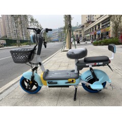 国标电动车成人新款两轮电动自行车48V铅酸电池电瓶车两轮车代步车