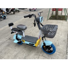 国标电动车成人新款两轮电动自行车48V铅酸电池电瓶车两轮车代步车