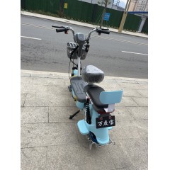 国标电动车成人新款两轮电动自行车48V铅酸电池电瓶车两轮车代步车