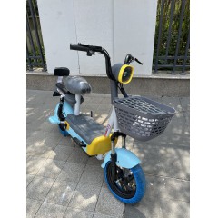 国标电动车成人新款两轮电动自行车48V铅酸电池电瓶车两轮车代步车