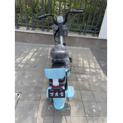国标电动车成人新款两轮电动自行车48V铅酸电池电瓶车两轮车代步车
