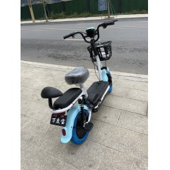 新国标电动车成人新款两轮48V电动自行车锂电池电瓶车双人代步车