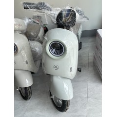 爱玛爱朵电动车高速实用电瓶车成人代步男女轻便电动摩托车