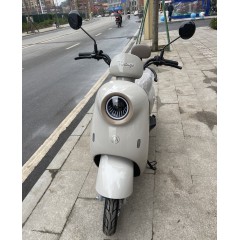 爱玛爱朵电动车高速实用电瓶车成人代步男女轻便电动摩托车