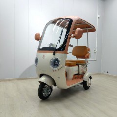 大安力量月宝休闲国标带棚电动三轮车接送孩子客货两用代步车