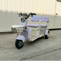 大安力量大安一号休闲国标带棚电动三轮车接送孩子客货两用代步车