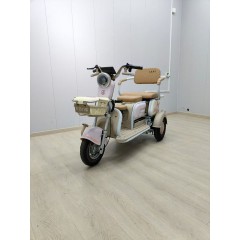 大安力量安吉拉休闲国标电动三轮车接送孩子客货两用代步车