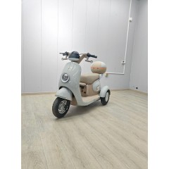 大安力量Q70休闲国标电动三轮车接送孩子客货两用代步车