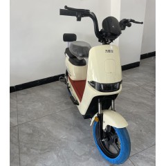 新款电动车成人电瓶车新国标男女士小型电动自行车学生