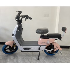 新款电动车成人电瓶车新国标男女士小型电动自行车学生