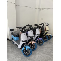 新款电动车成人电瓶车新国标男女士小型电动自行车学生